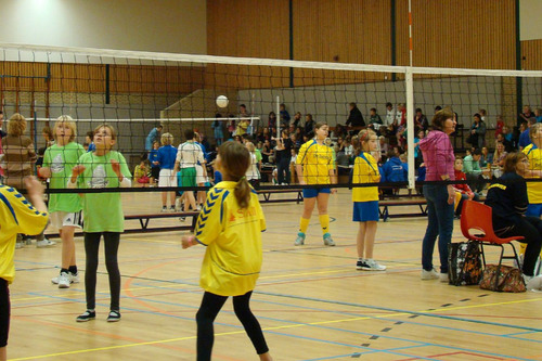 Foto bij Schoolvolleybal 2025